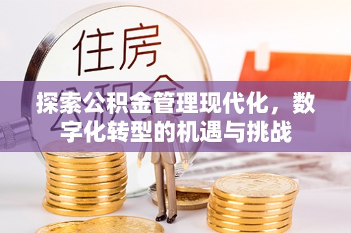 澄江探索公积金管理现代化，数字化转型的机遇与挑战