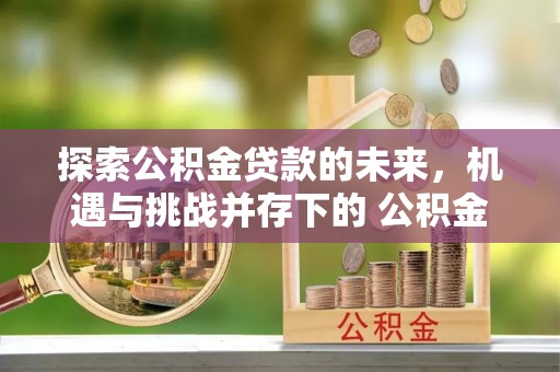 澄江探索公积金贷款的未来，机遇与挑战并存下的 公积金贷款风险防控