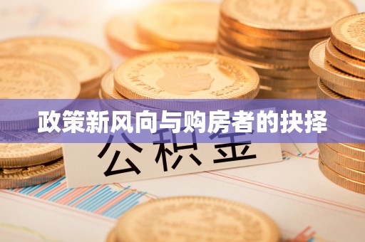 澄江政策新风向与购房者的抉择