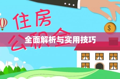 澄江全面解析与实用技巧