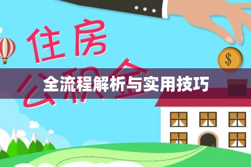 澄江全流程解析与实用技巧