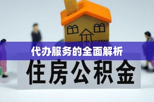 澄江代办服务的全面解析