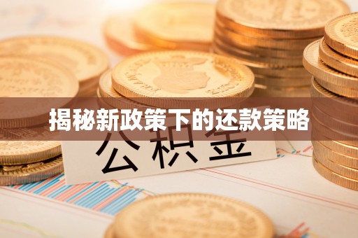 澄江揭秘新政策下的还款策略
