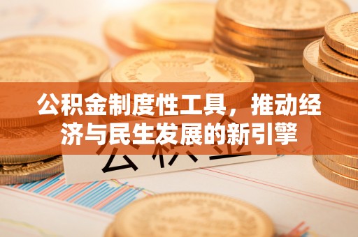 澄江公积金制度性工具，推动经济与民生发展的新引擎