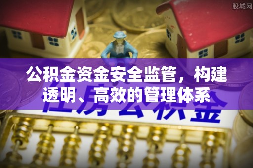 澄江公积金资金安全监管，构建透明、高效的管理体系