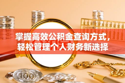 澄江掌握高效公积金查询方式，轻松管理个人财务新选择