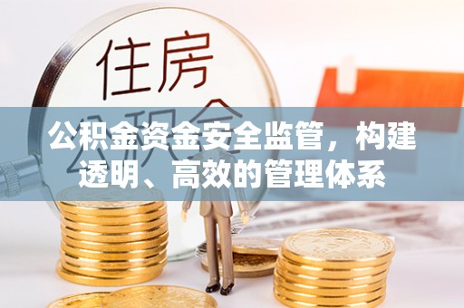 澄江公积金资金安全监管，构建透明、高效的管理体系