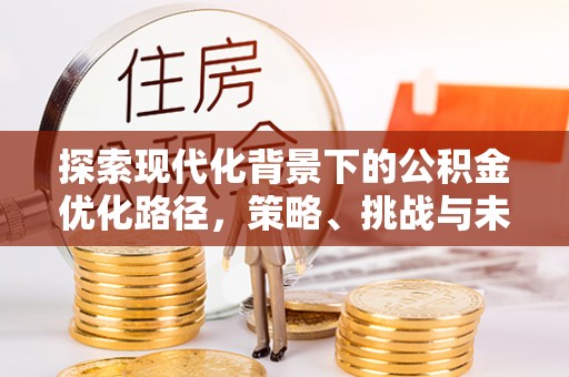 澄江探索现代化背景下的公积金优化路径，策略、挑战与未来展望