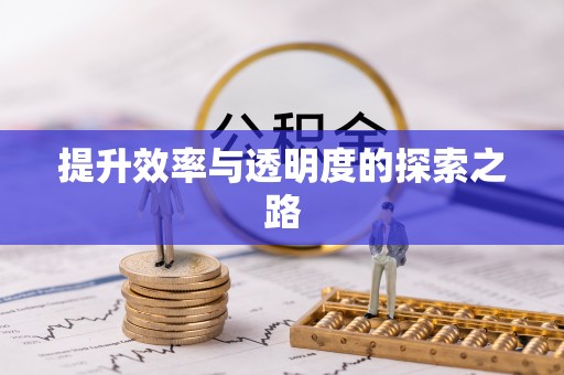 澄江提升效率与透明度的探索之路