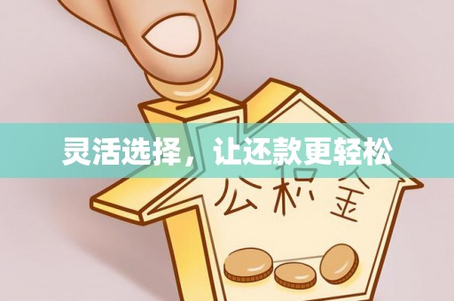 澄江灵活选择，让还款更轻松