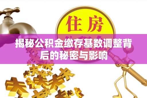 澄江揭秘公积金缴存基数调整背后的秘密与影响