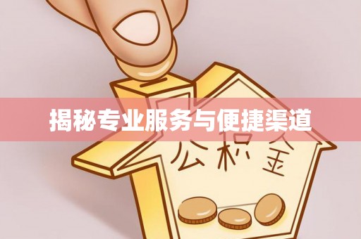 澄江揭秘专业服务与便捷渠道