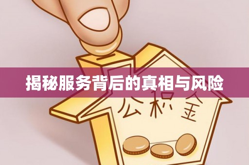 澄江揭秘服务背后的真相与风险
