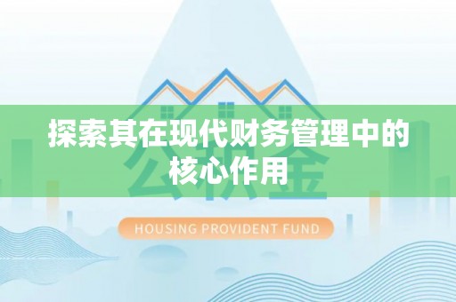 澄江探索其在现代财务管理中的核心作用