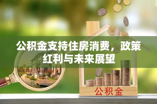 澄江公积金支持住房消费，政策红利与未来展望