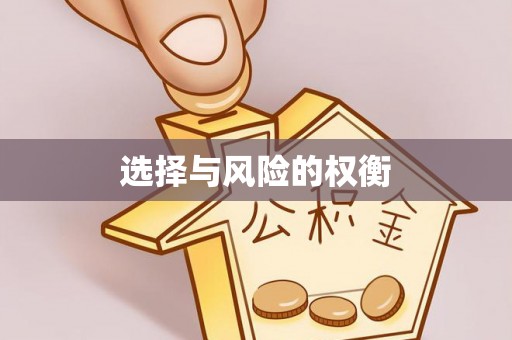 澄江选择与风险的权衡