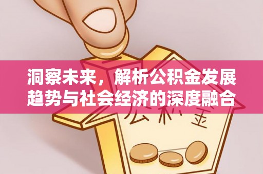 澄江洞察未来，解析公积金发展趋势与社会经济的深度融合