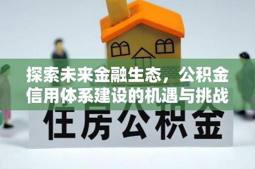 澄江探索未来金融生态，公积金信用体系建设的机遇与挑战