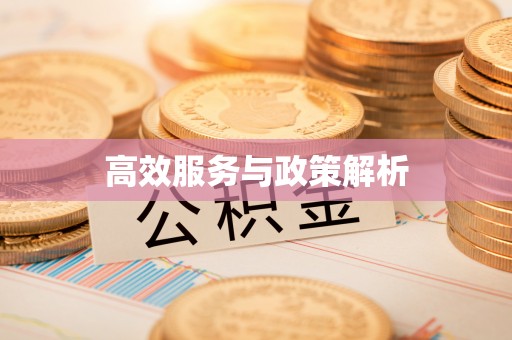 澄江高效服务与政策解析