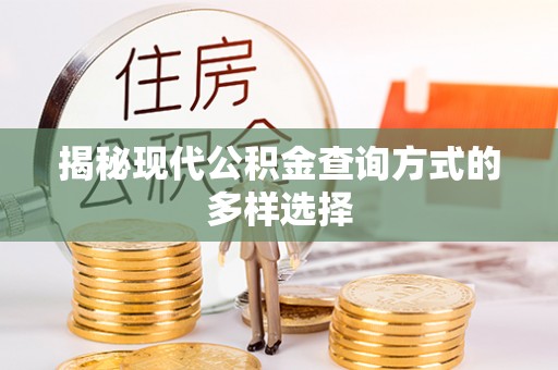 澄江揭秘现代公积金查询方式的多样选择