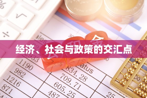 澄江经济、社会与政策的交汇点