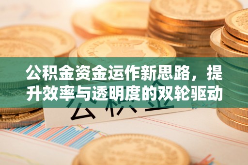 澄江公积金资金运作新思路，提升效率与透明度的双轮驱动