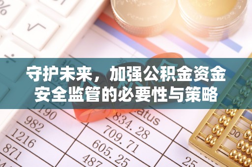 澄江守护未来，加强公积金资金安全监管的必要性与策略