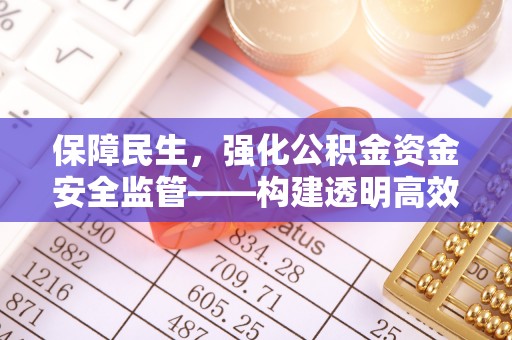 澄江保障民生，强化公积金资金安全监管——构建透明高效的管理体系