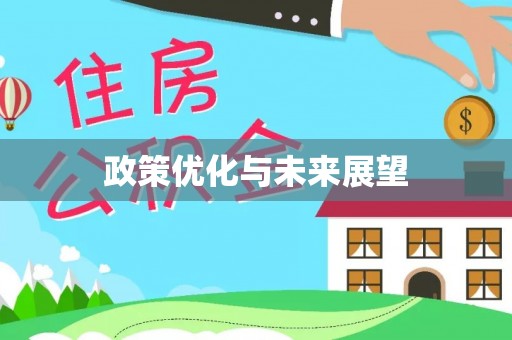 澄江政策优化与未来展望