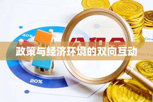 澄江政策与经济环境的双向互动