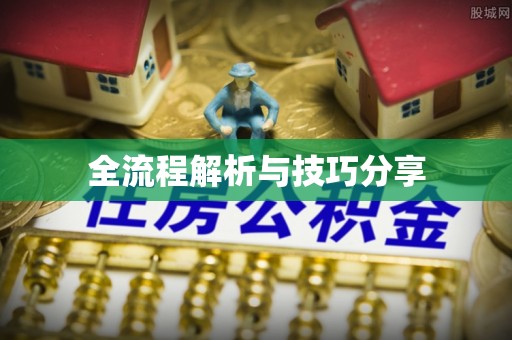 澄江全流程解析与技巧分享