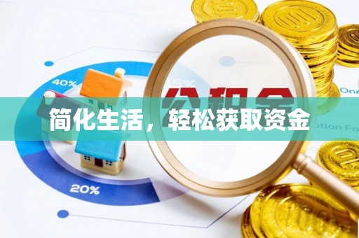 澄江简化生活，轻松获取资金