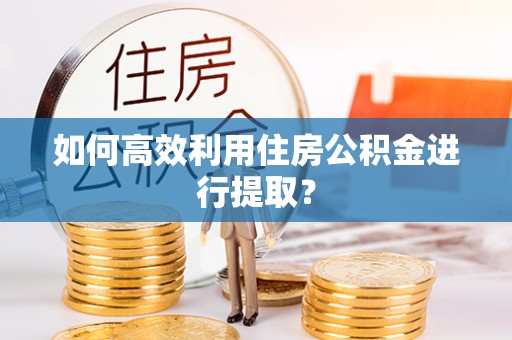 澄江如何高效利用住房公积金进行提取？