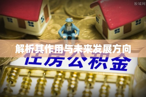 澄江解析其作用与未来发展方向
