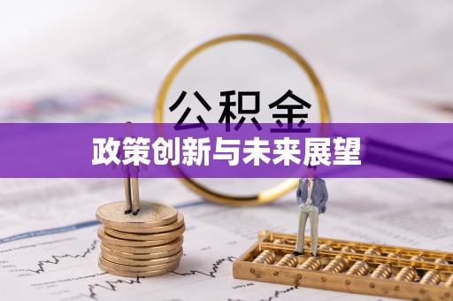 澄江政策创新与未来展望
